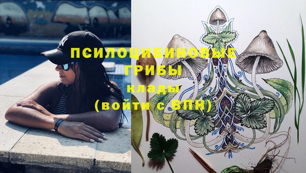 мет Осинники