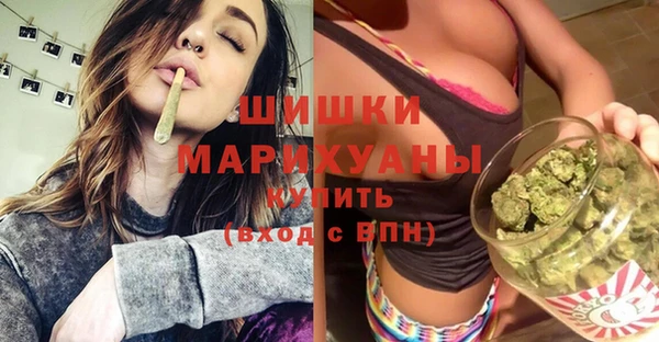 МДПВ Осташков