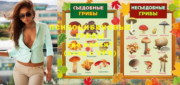 МДПВ Осташков