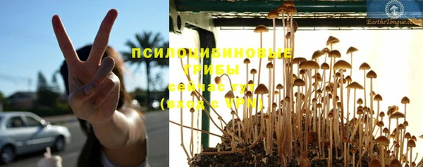 МДПВ Осташков